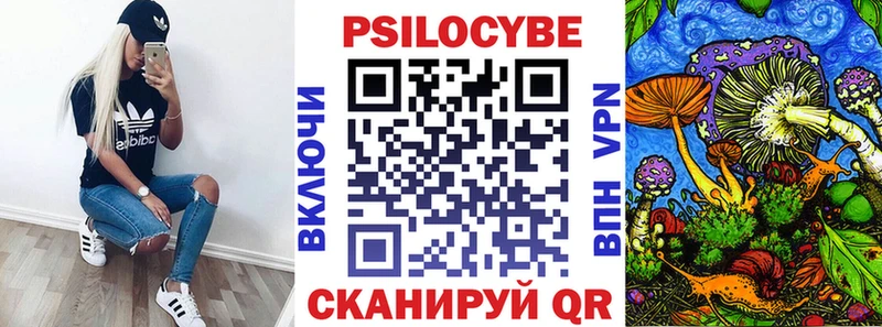 Галлюциногенные грибы Psilocybine cubensis  Купить закладки  Дубна 
